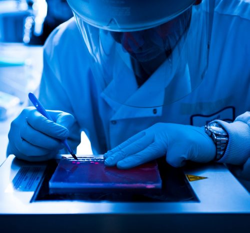 Scientist using scalpel in lab